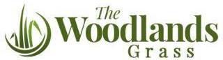 The Woodlands Grass