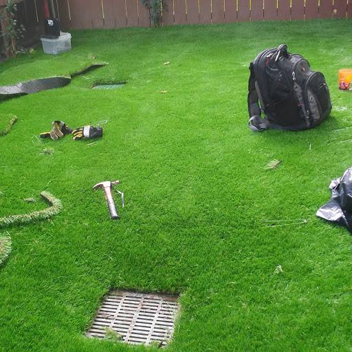A Serene Backyard Featuring A Lush Green Lawn