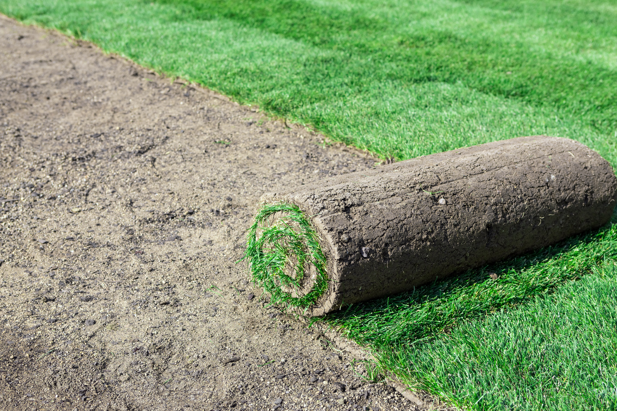 Laying the Turf