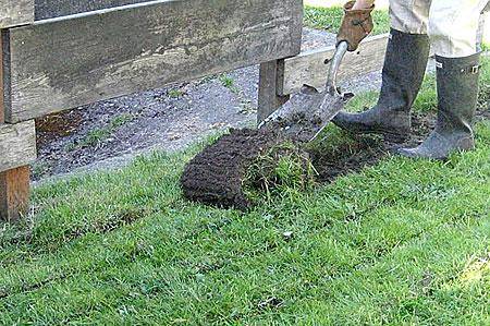 A Man Is Digging Up Grass With A Shovel In A Garden