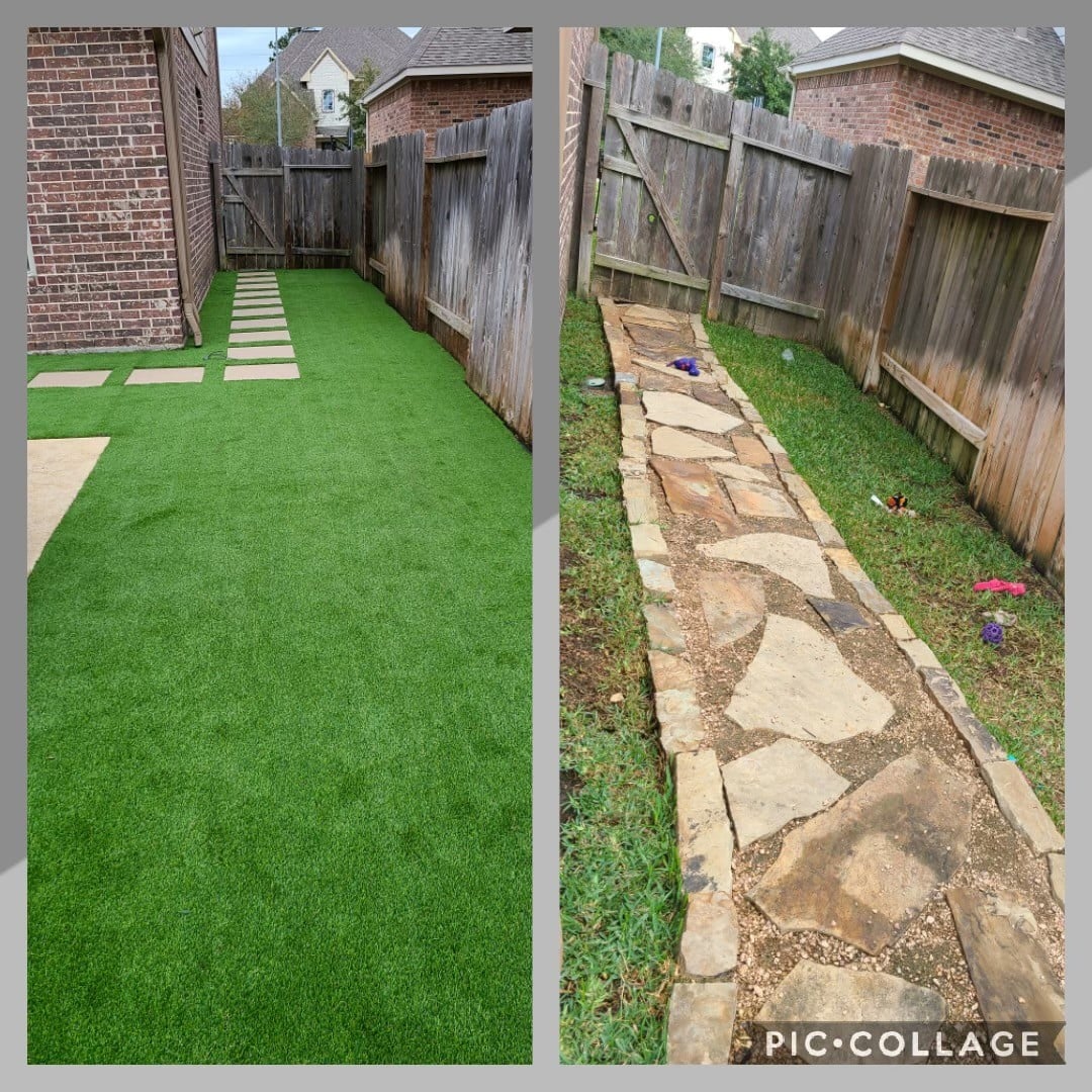 Vibrant Green Lawn