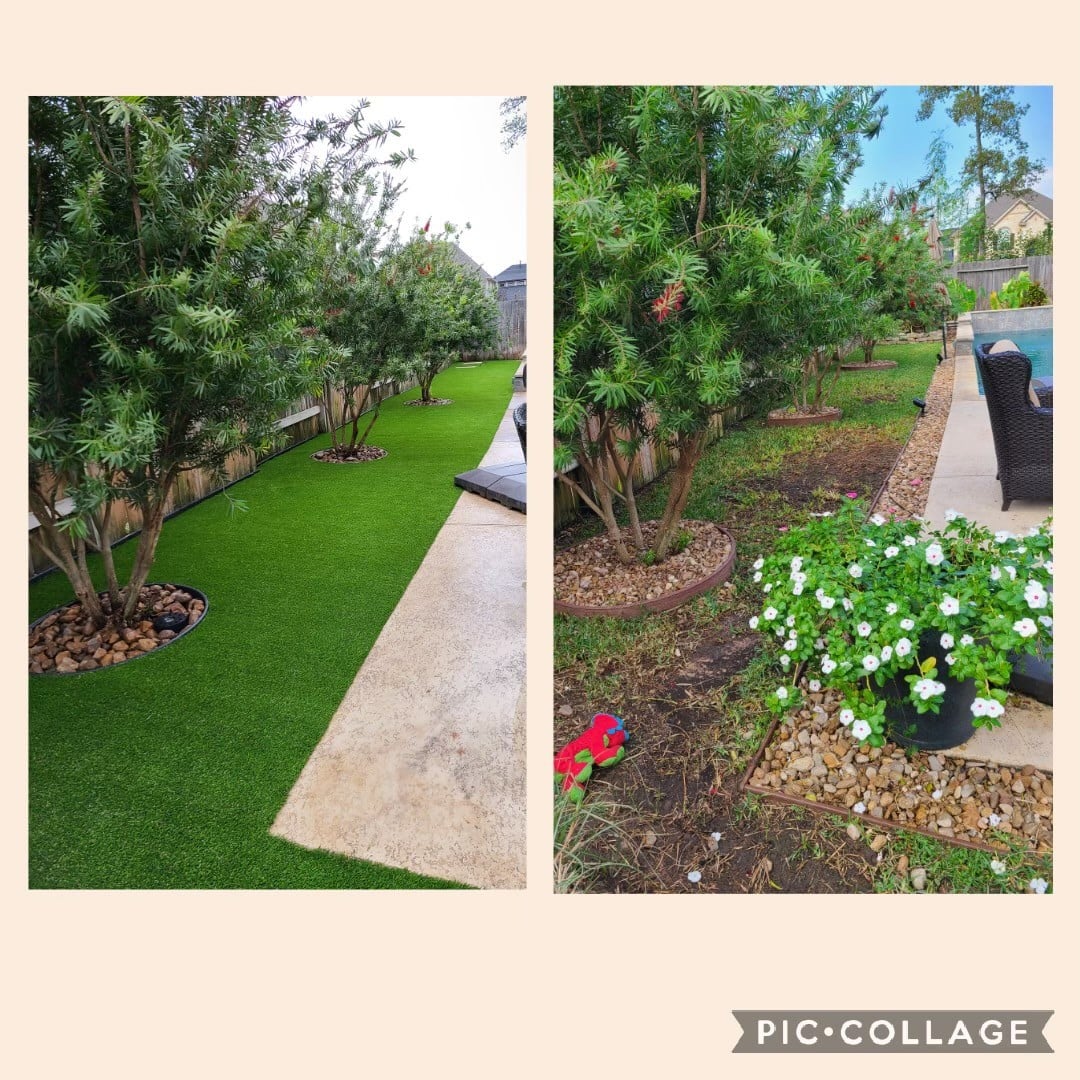 Green Lawn